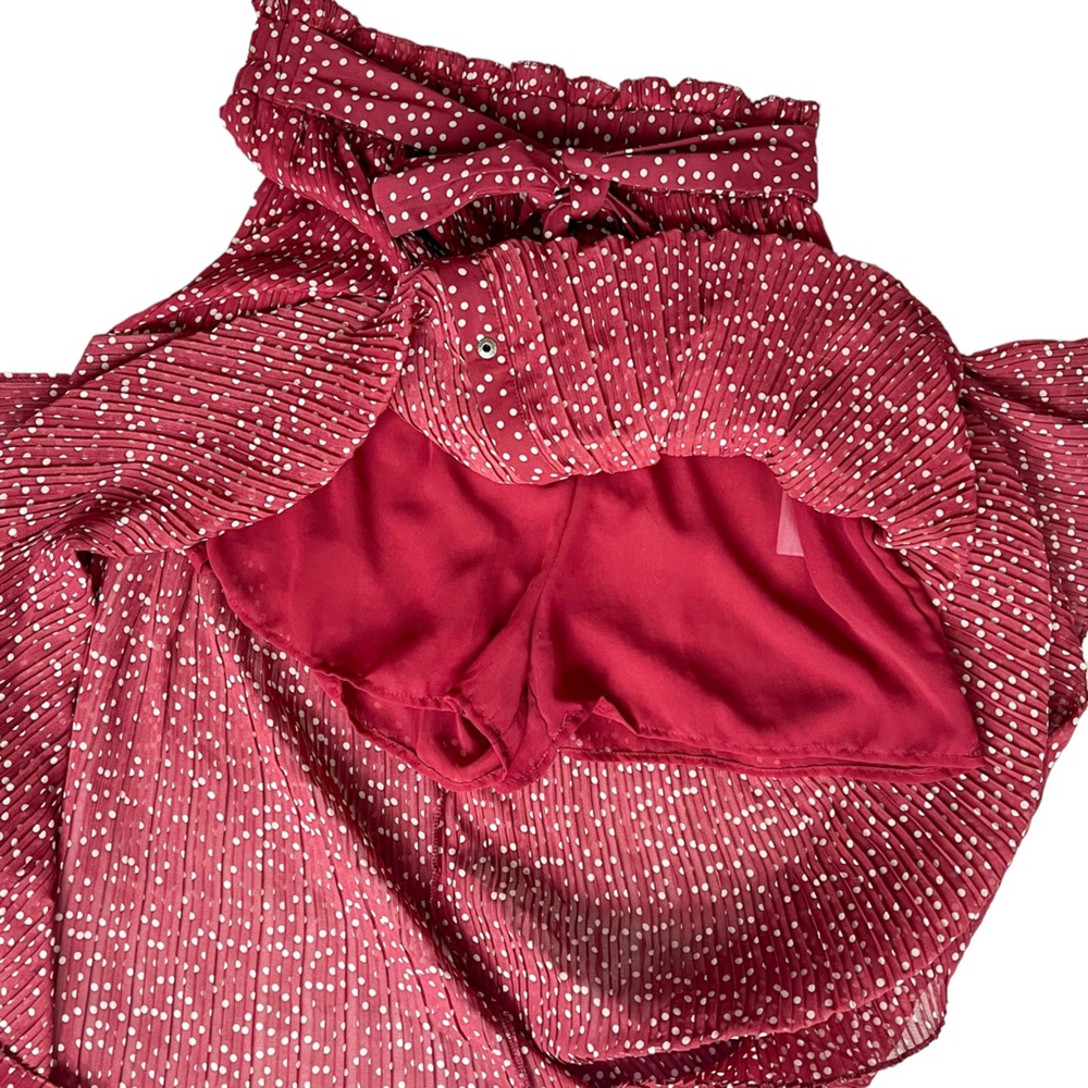 Zara Maxi Skirt Pleated Burgandy with White Polka Dots - Picture 5 of 6